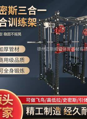 rep深蹲架小飞鸟全框家用专业史密斯卧推架龙门架健身综合训练架