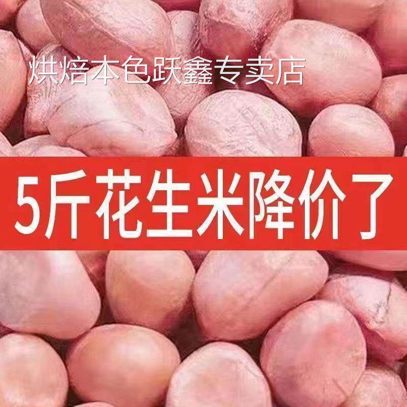 2024年新货10斤花生米生新鲜特级精选生花生白沙花生仁榨油下酒菜