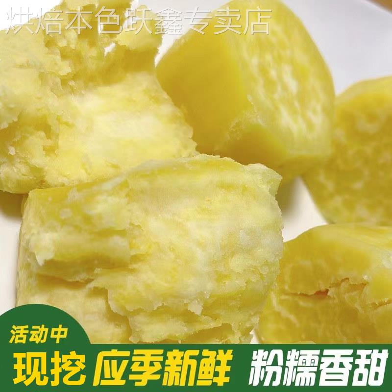 广东正宗潮汕白皮黄心板栗薯香甜粉糯现挖农家鸡蛋黄番薯地瓜包邮