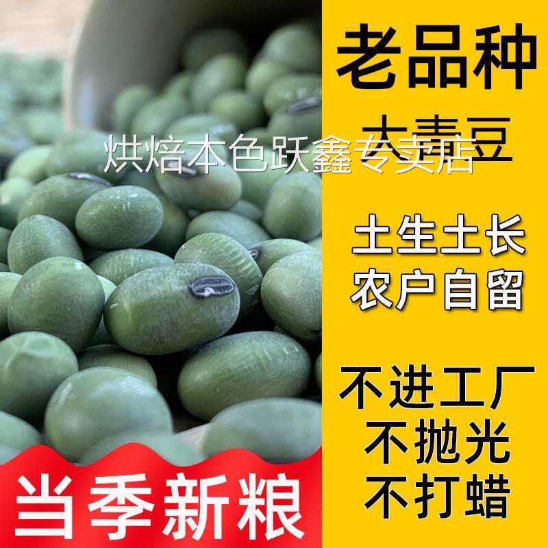 当季新货 农家自种 老品种大粒生青皮豆土青豆农户自留干青皮黄豆