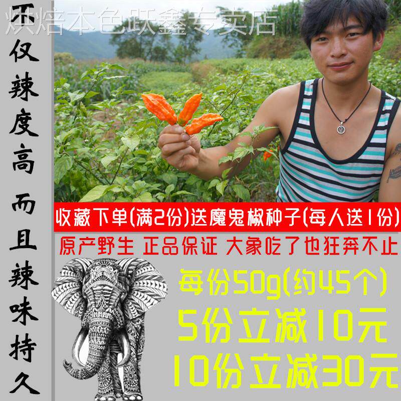 纯细粉正宗印度魔鬼象鼻辣椒云南涮涮辣超辣特辣辣椒面变态辣椒粉