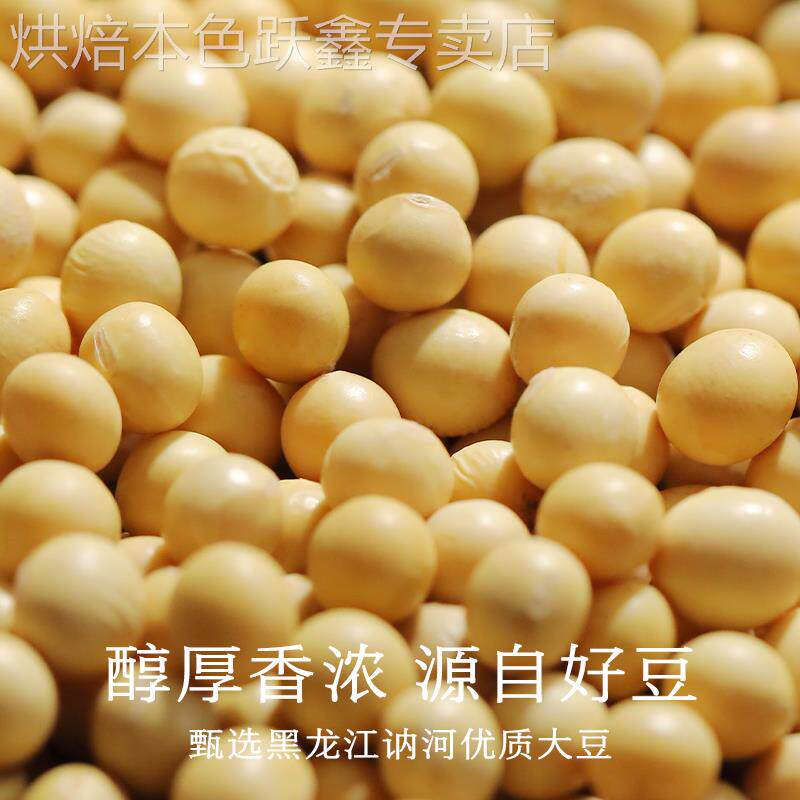 黄姚古镇特产 原味干豆豉500克 天和豆豉厂直销正宗黄姚豆豉 包邮