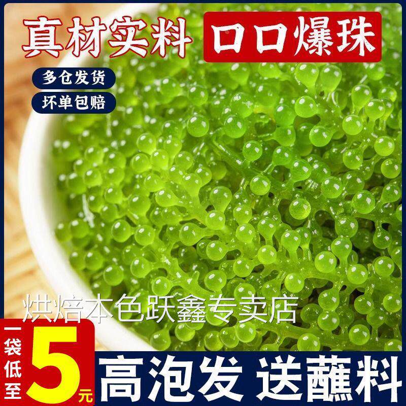盐渍海葡萄新鲜即食海藻海带海苔蔬菜寿司爆珠绿色鱼子酱100g芥末