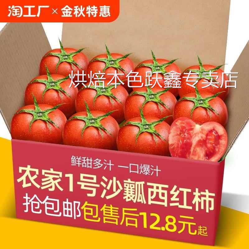 农家1号沙瓤西红柿自然熟非铁皮柿子水果普罗旺斯番茄自提配送