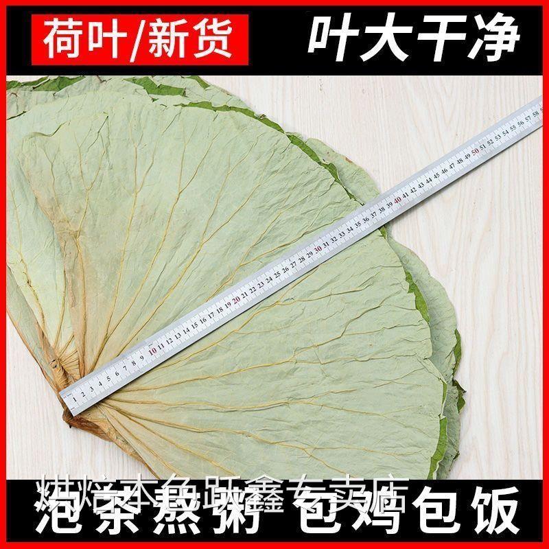 干荷叶整张荷叶大张鸡糯米鸡荷叶茶包鸡包饭新鲜微山湖莲藕叶