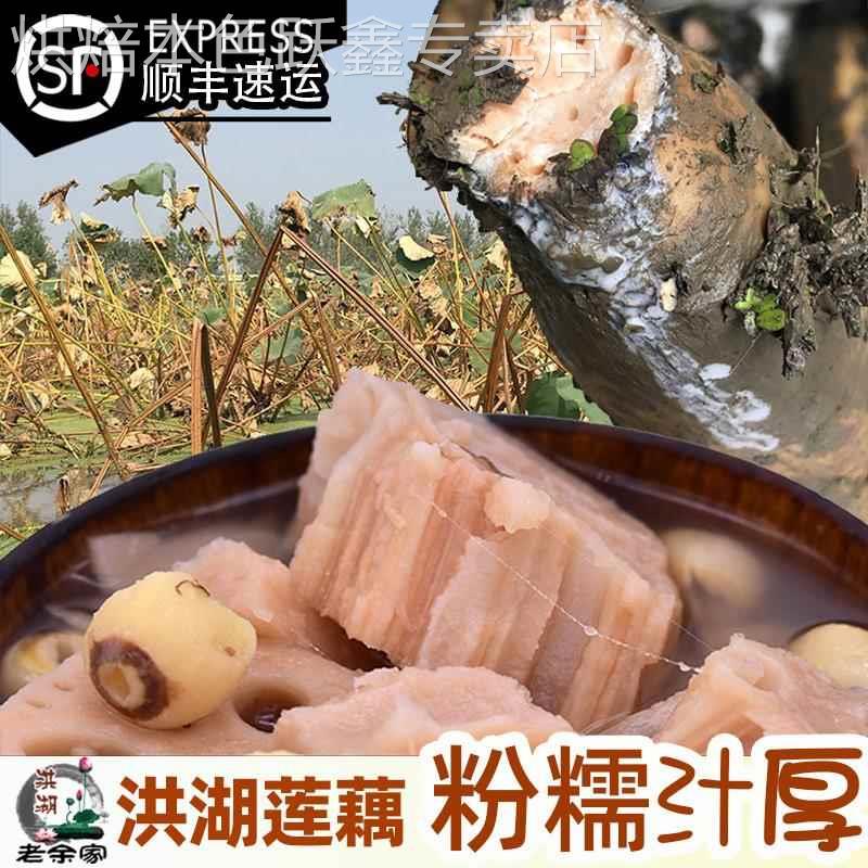 老余家洪湖莲藕新鲜粉糯现挖湖北特产武汉九孔红粉藕带泥发顺丰