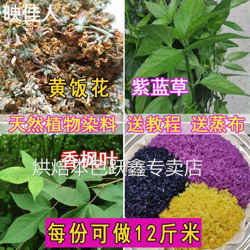 广西五色糯米饭植物染料枫香叶红蓝草三月三清明节黄饭花黑橙紫黄