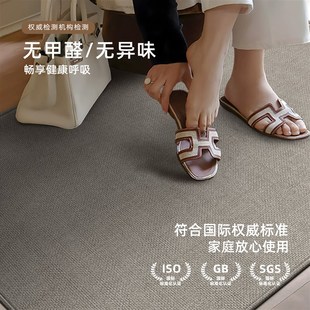 高级感进门口D耐脏免洗脚垫可裁剪玄关防滑地 入户门地垫2025新款