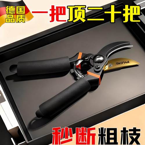 德国精工SK5修枝剪园艺剪树枝专用剪刀花艺剪花剪树剪子果树花木