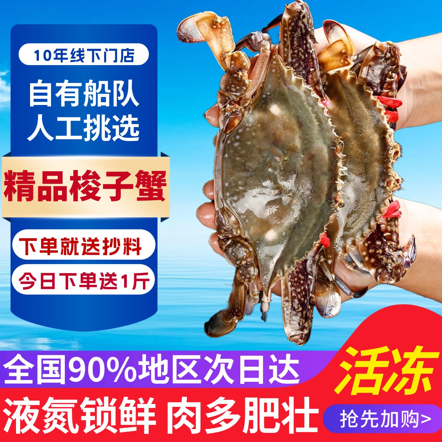 冻蟹梭子蟹特大野生连云港螃蟹海鲜水产公飞蟹白蟹冷冻年货礼盒,水产肉类/新鲜蔬果/熟食,梭子蟹,淘宝优惠券,粉丝福利购,淘宝优惠卷