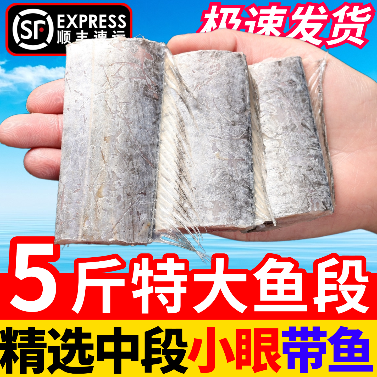 特级大号带鱼段鲜活海鲜