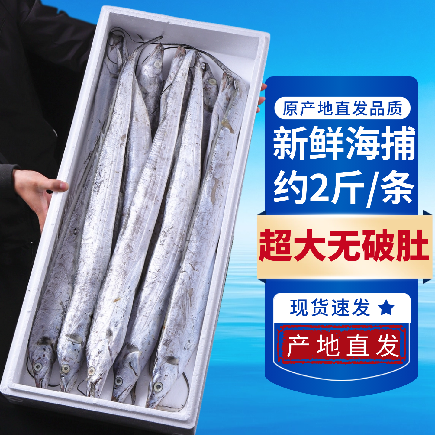 带鱼野生整条新鲜冷冻海捕无冰超特大刀鱼海鲜水产无破肚整箱批发,水产肉类/新鲜蔬果/熟食,带鱼,淘宝优惠券,粉丝福利购,淘宝优惠卷