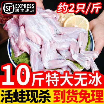 牛蛙鲜活新鲜冷冻特大田鸡蛙肉
