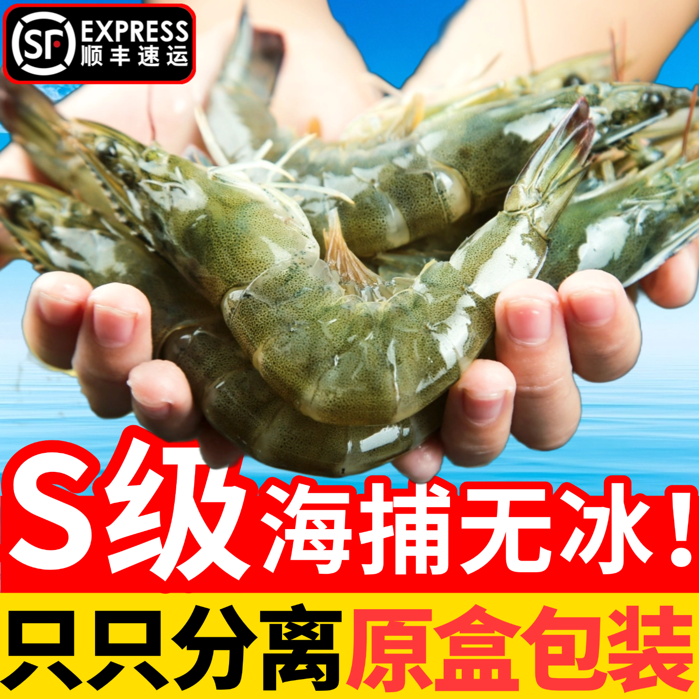 大虾鲜活冷冻基围虾特大海捕