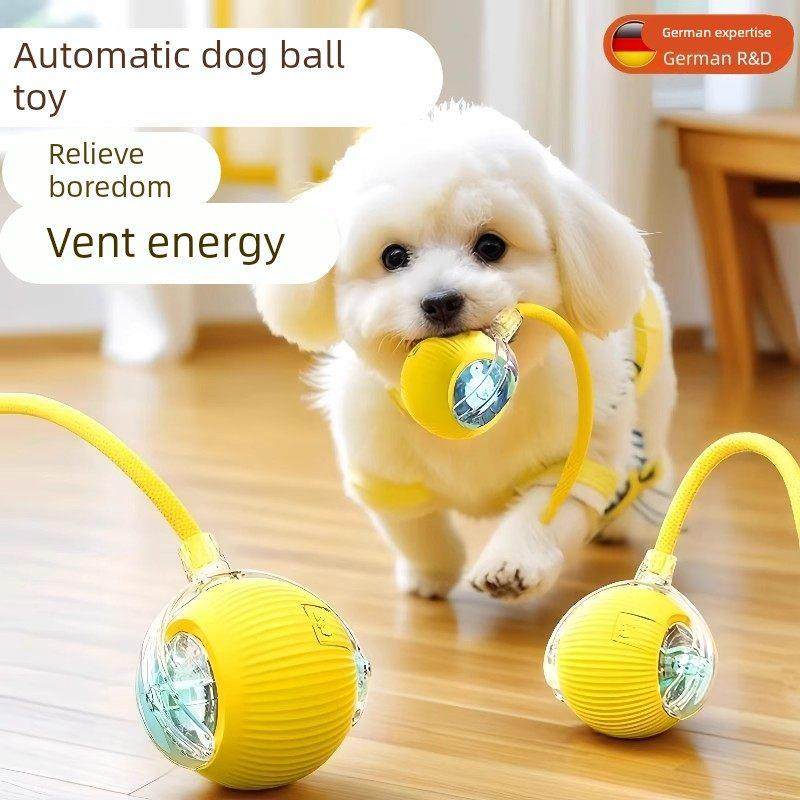 狗狗玩具球自动遛狗电动逗狗耐咬小狗比熊玩的宠物狗自嗨解闷神器