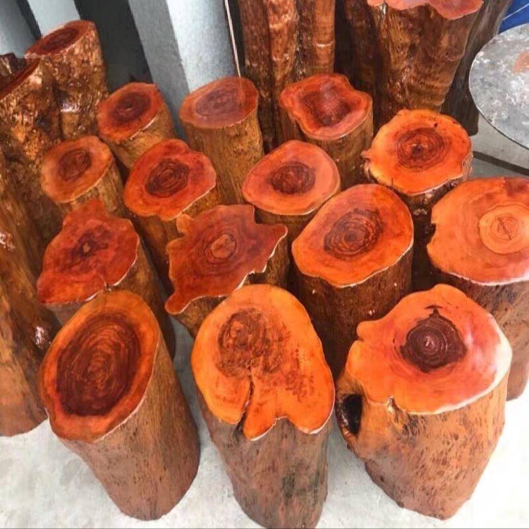 花梨木墩树墩凳子实木墩子根雕原木荔枝树桩底座茶几茶桌圆木凳子