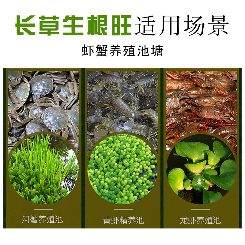 水草肥料生根长叶宝虾蟹长根粒粒肥旺叶定固根水产小龙虾河蟹养殖,宠物/宠物食品及用品,鱼缸水质稳定剂,淘宝优惠券,粉丝福利购,淘宝优惠卷
