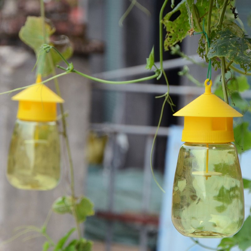 果蝇引诱剂诱捕器瓜果实蝇针蜂 果园菜地果蝇引诱剂内含捕抓器