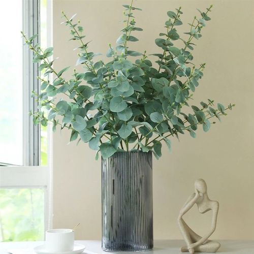 尤加利鲜花水培鲜切枝观叶植物家庭花艺室内桌面瓶插花满室清香
