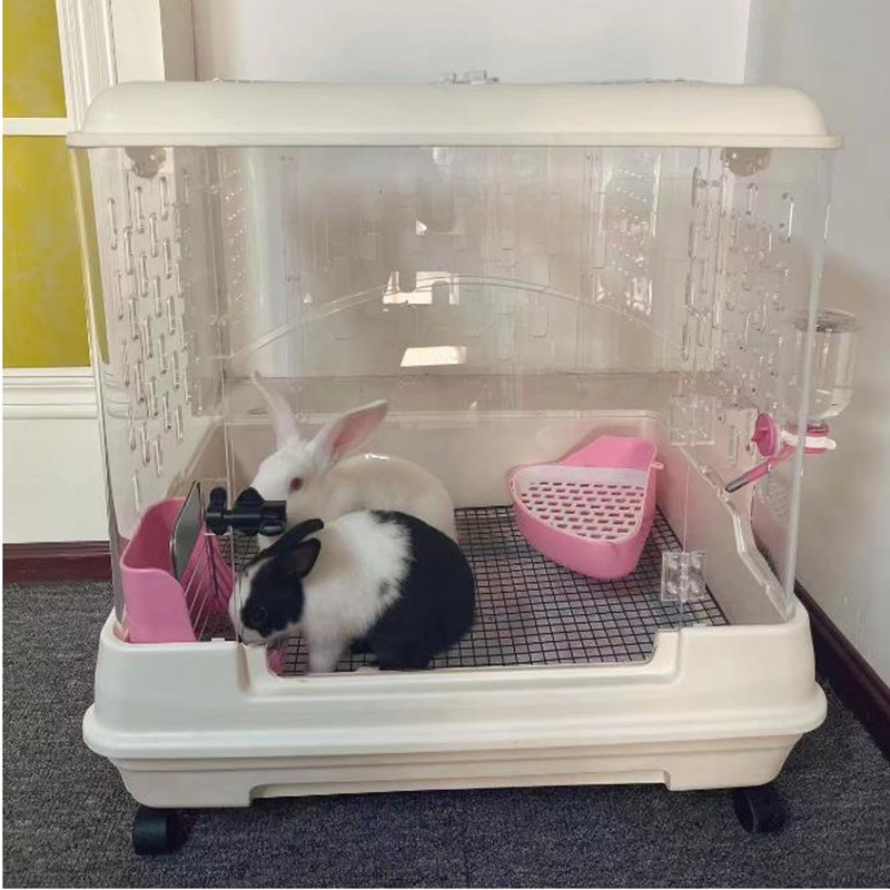 兔笼子加大亚克力透明透气通风防喷尿防飞毛柯科尔鸭饲养箱带托盘