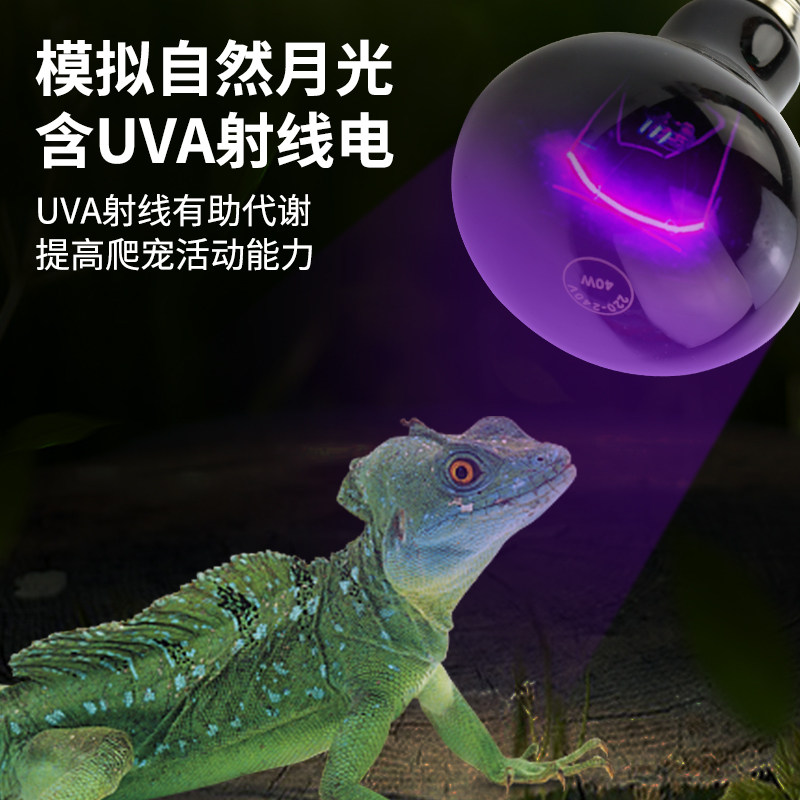 UVA爬虫日灯陆龟箱蜥蜴乌龟爬宠加热保温晒背灯夜灯恒温灯聚光灯