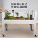 黄缘龟专用缸大型半水龟饲养箱生态造景安缘龟缸带排水乌龟水陆缸