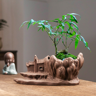 紫砂神工天巧古房小盆景家用复古客厅办公室文竹菖蒲六月雪带托盘