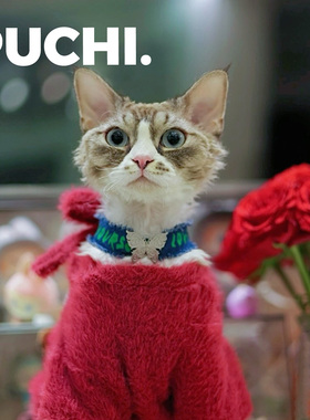 《Pet.牛仔蝴蝶》牛仔y2k宠物项圈猫咪狗狗金属蝴蝶装饰项链