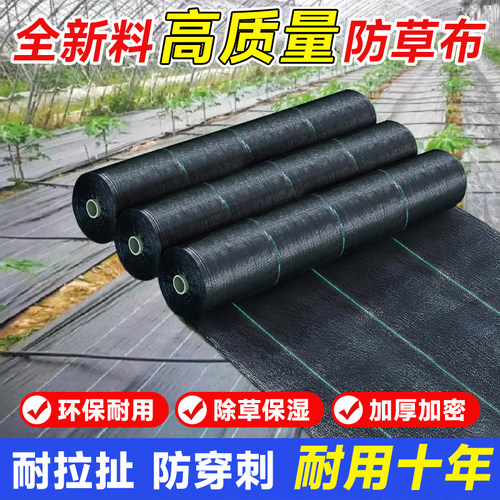 防草布除草布耐用新型园艺地布农用加厚果园果树T遮草布地膜送地