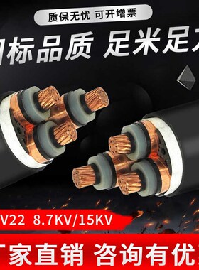 国标1芯3芯YJV22电缆线铜芯铠装高压10KDV 15KV 35KV 185/240平方