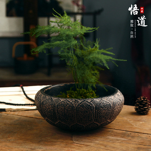 新款仿古一叶莲碗莲睡莲盆水培无孔盆铜钱草水仙盆