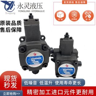 变量叶片泵 VP2 浙江YLC永灵 VP1