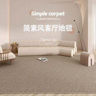 免洗款 新款 侘寂地毯客厅感仿纯色轻奢地垫剑麻2024可擦风卧室高级