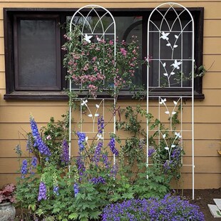 两片高2.2米爬藤架花支架铁线莲月季架子靠墙屏风网格花插片