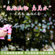 儿童七彩泡泡水补充液安全水棒泡泡机补充液枪浓缩泡泡液