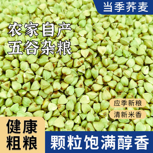东北荞麦米25年农家新米脱壳甜荞麦仁纯三角麦粒粗粮五谷杂粮米