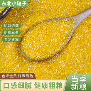 东北玉米渣5斤玉米糁细玉米农家五谷杂粮苞米糁碴子粥窝窝头糁