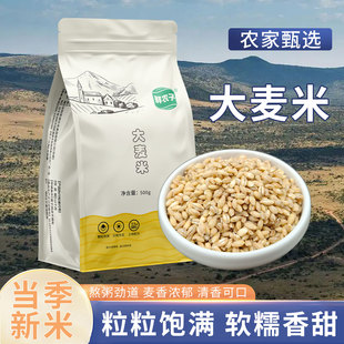 新米东北大麦仁米新鲜脱皮去皮大麦粒五谷杂粮煮粥粗粮糯米饭5斤