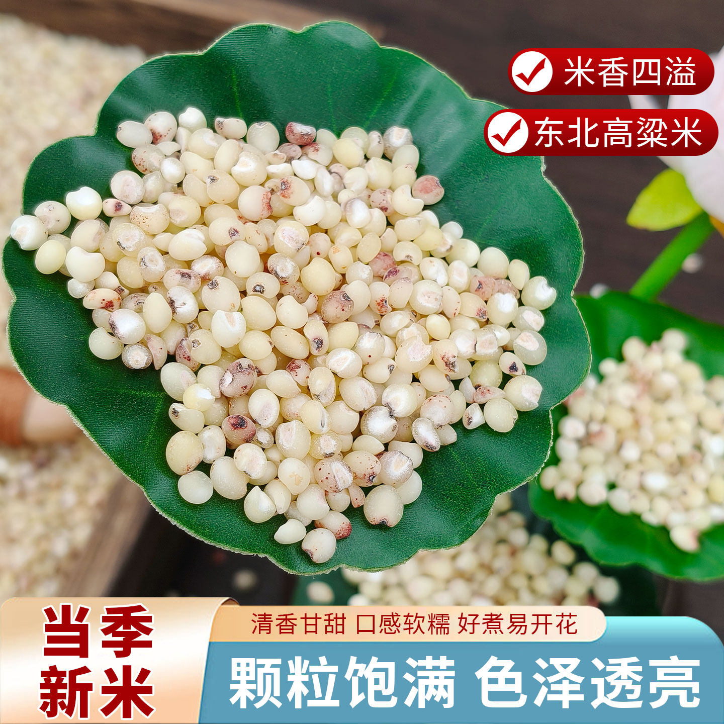 东北特产白高粱米5斤农家自产新货新米粗粮煮粥五谷杂粮脱皮散装