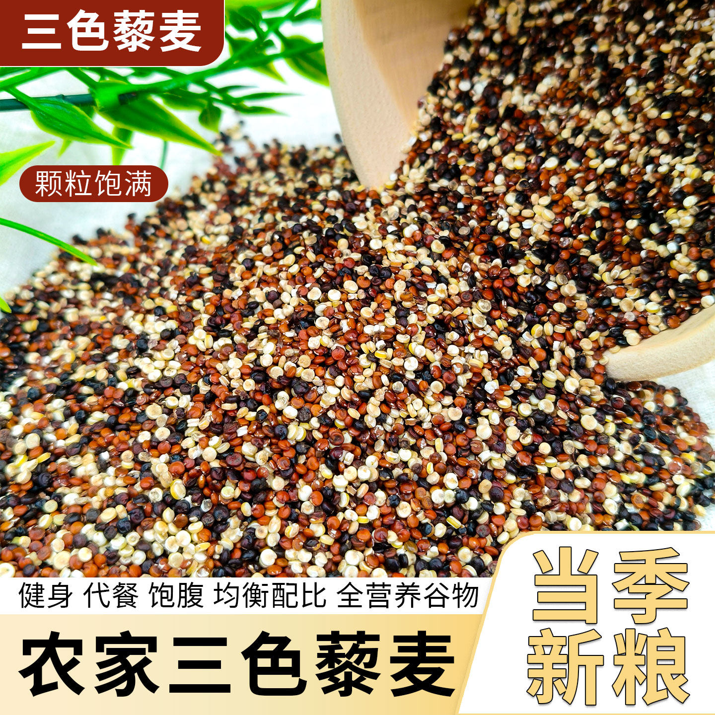 正宗三色藜麦米白藜麦高原粗粮非即食青海五谷杂粮糙米主食黎麦饭