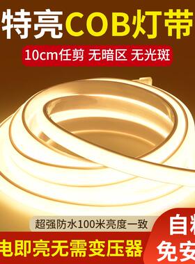 led灯带220v防水自粘超亮线形灯家用客厅吊顶氛围彩COB户外软灯条