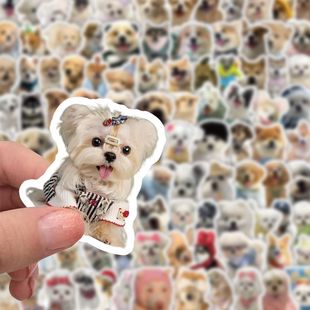 204张可爱小狗贴纸ins软萌小狗萌宠创意装 饰桌面手机手账贴画防水