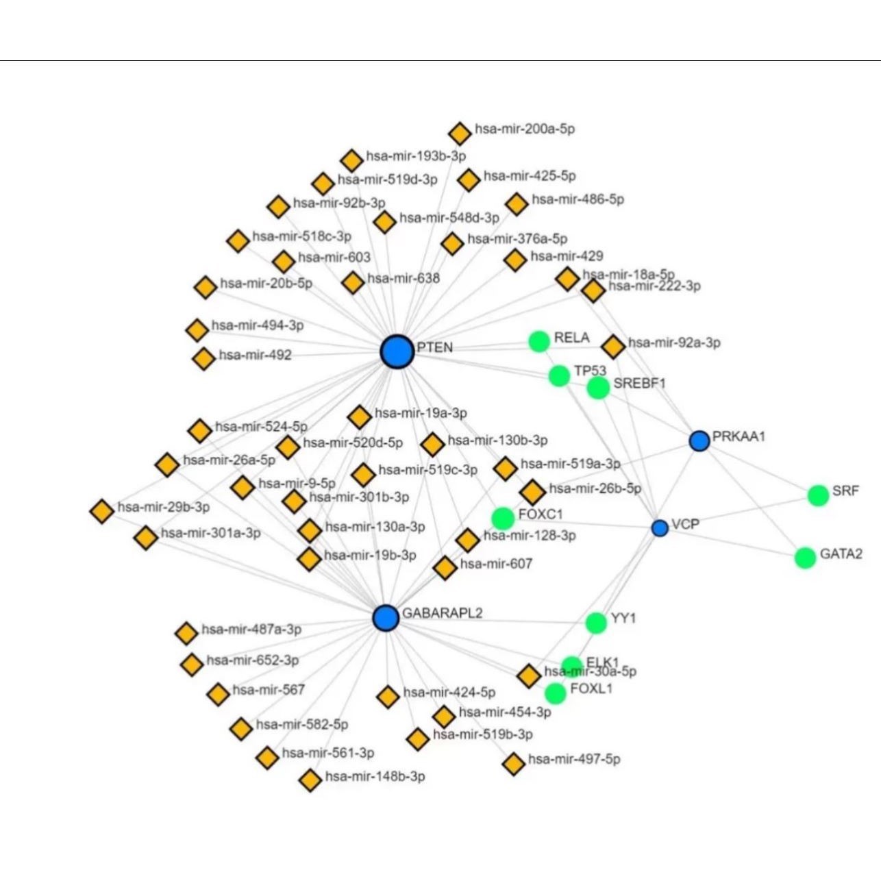 微生物OTU网络图的绘制(Cytoscape)生信小白科研教程课程资源K06