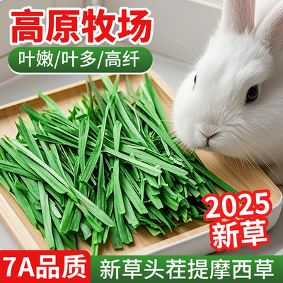 烘干提摩西草兔草兔粮荷兰猪粮食