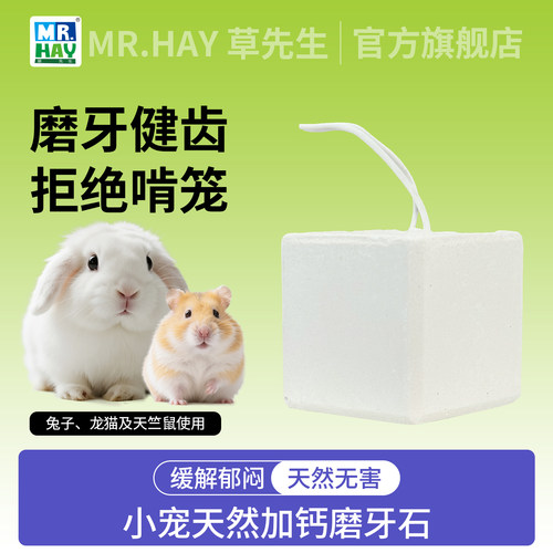 香港大小牙石龙猫兔子荷兰猪悬挂