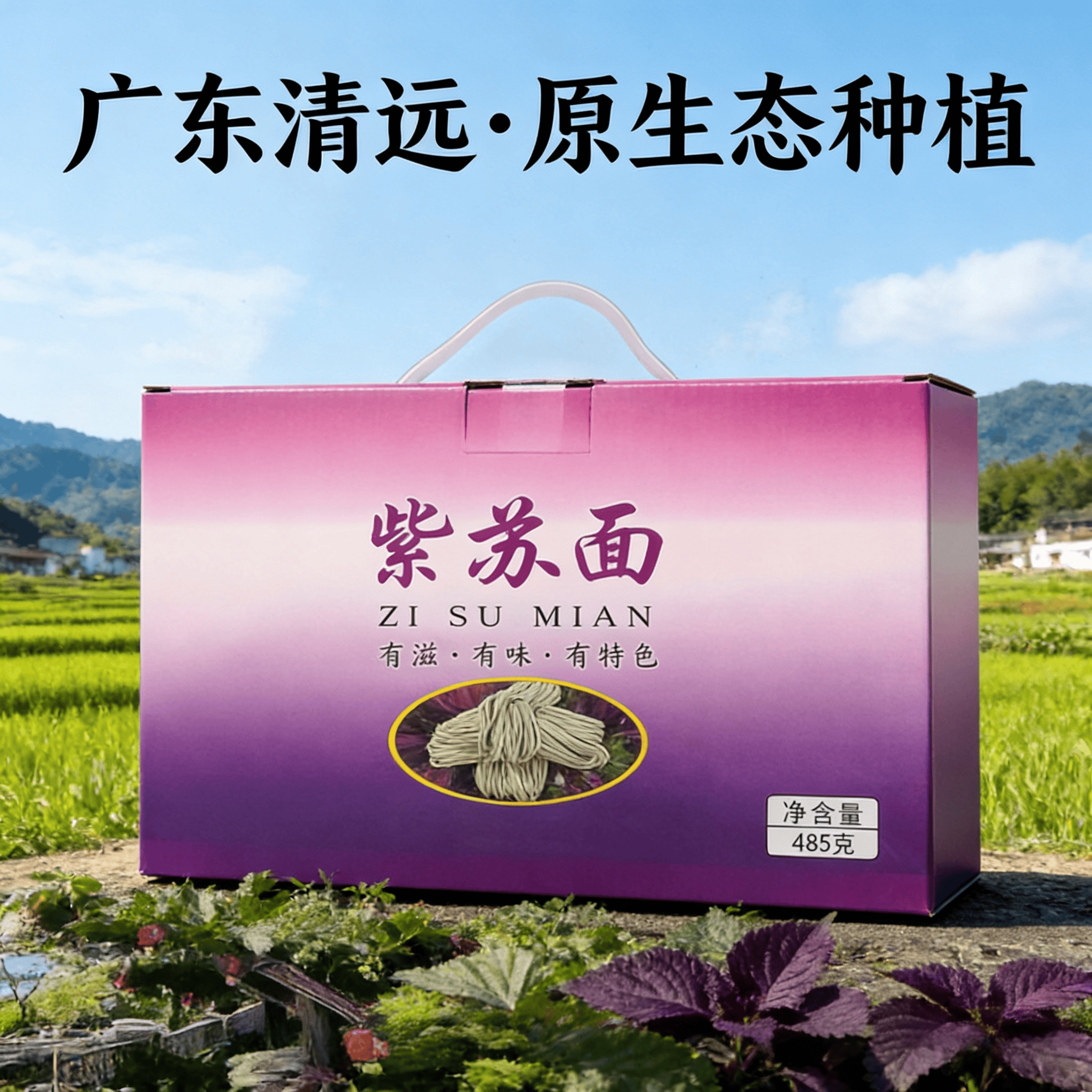广东粤北独立包装老人小孩都适合送礼盒装无添加挂面手工紫苏面条