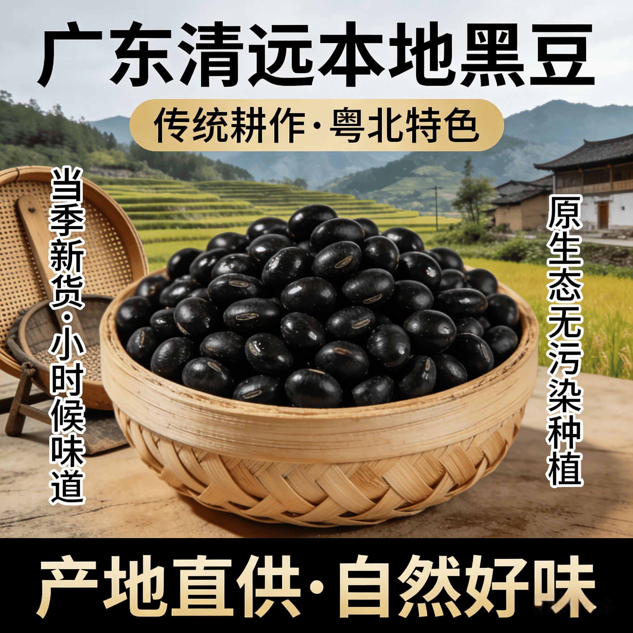 广东正宗农家本地自种黄心绿芯小黑豆种子打豆浆专用药用当季新货