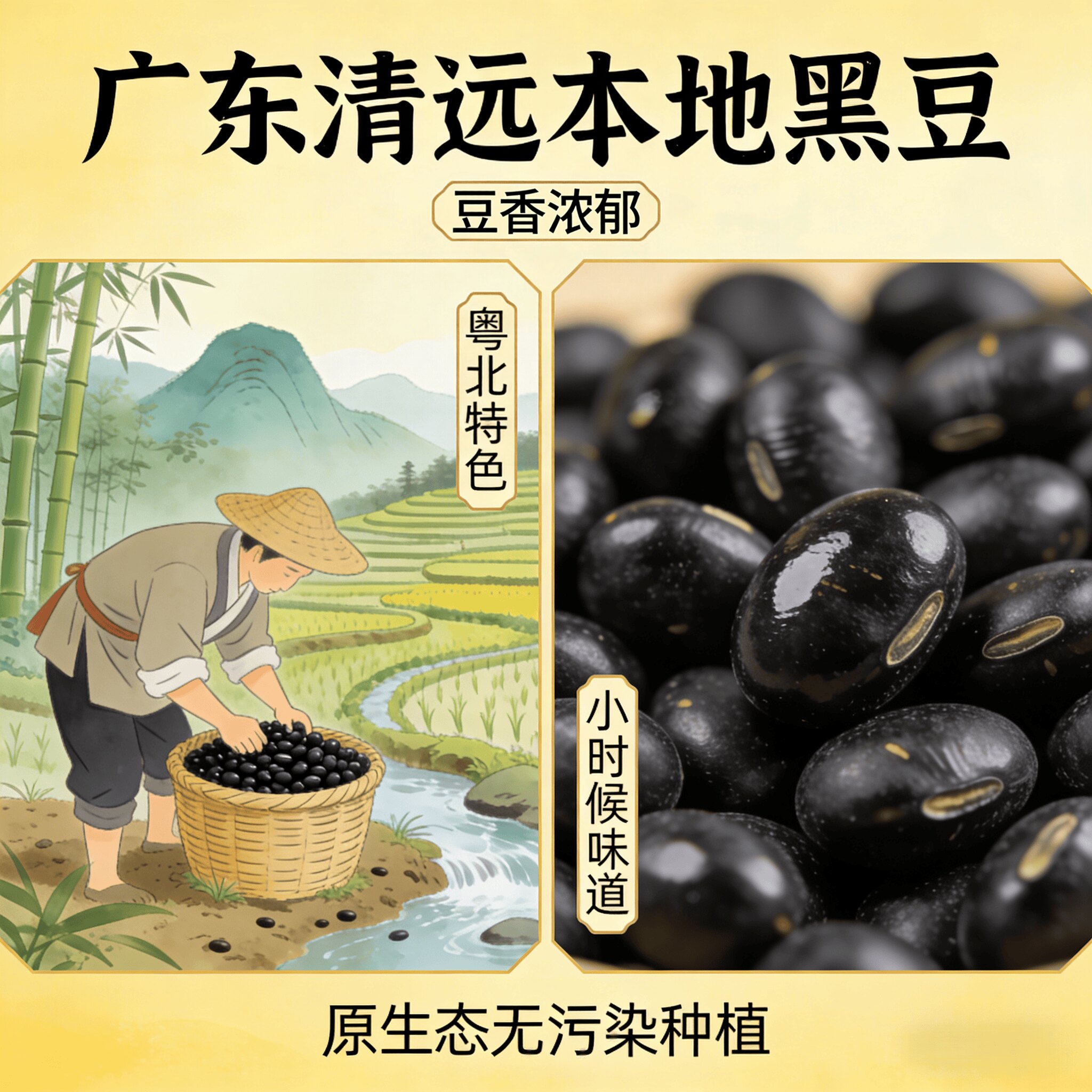 广东农家新鲜黑豆打豆浆专用新货图片