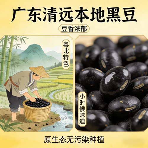 广东农家新鲜黑豆打豆浆专用新货