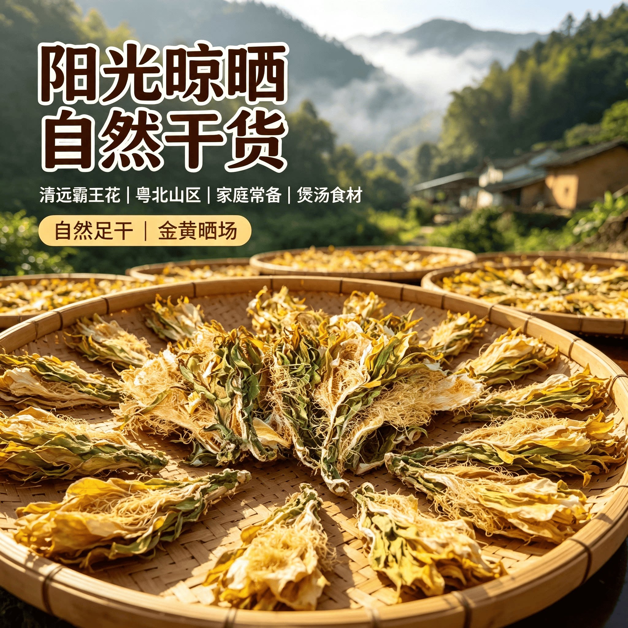 广东清远正宗深山霸王花剑花煲汤泡水材料当季正宗新鲜无硫熏干货